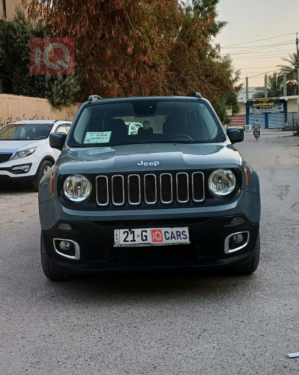 جيب رينيجيد